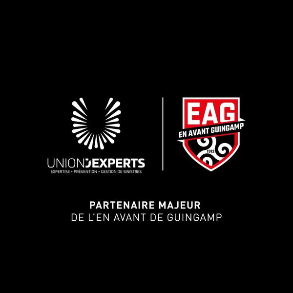 Union d'experts expertise d’assurance, de gestion de sinistres et de prévention des risques Saint Avertin Centre val de Loire - Nous sommes partenaire de l'En Avant Guingamp